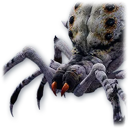 Ashen Spider pet portrait from AION 2