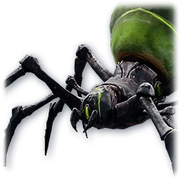 Baby Odyle Spider pet portrait from AION 2