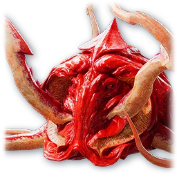 Faded Drana pet portrait from AION 2