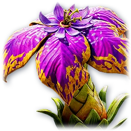 Nepenthes pet portrait from AION 2