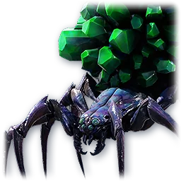Spider pet portrait from AION 2
